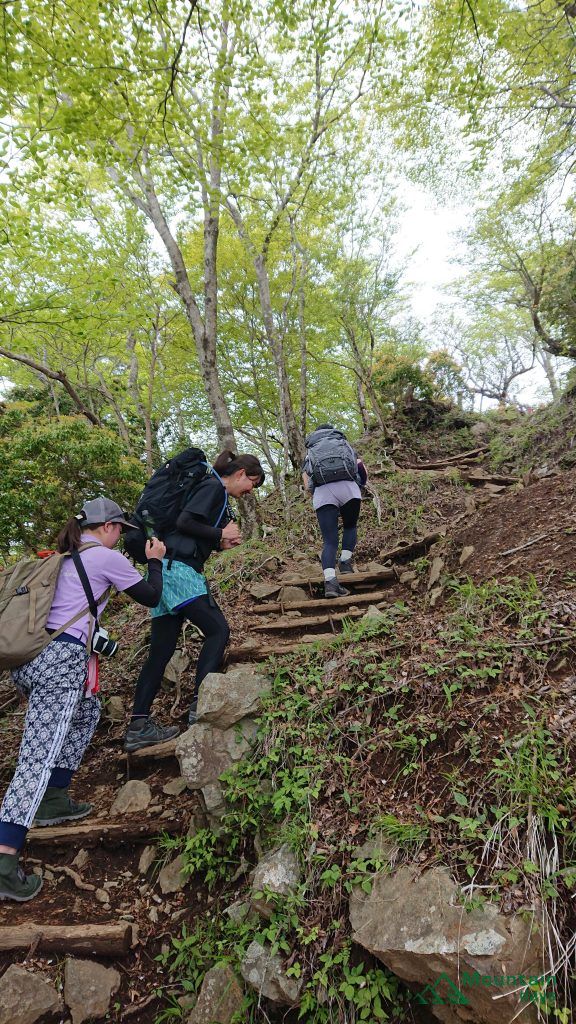 鍋割山までの急登の角度がわかる画像